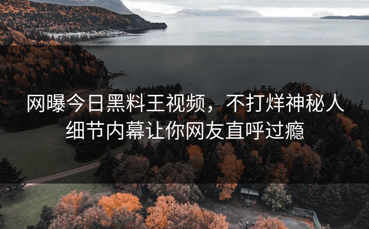 网曝今日黑料王视频，不打烊神秘人细节内幕让你网友直呼过瘾