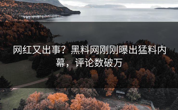 网红又出事？黑料网刚刚曝出猛料内幕，评论数破万