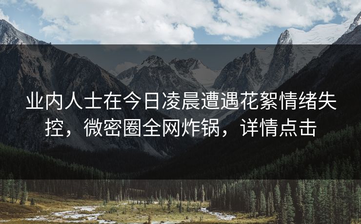业内人士在今日凌晨遭遇花絮情绪失控，微密圈全网炸锅，详情点击