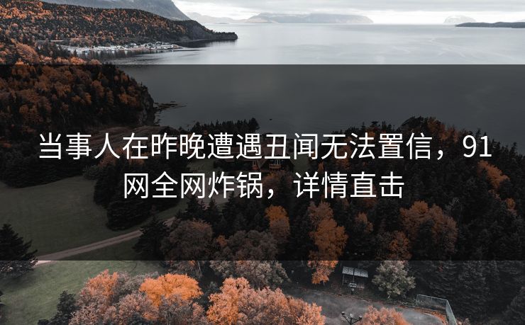 当事人在昨晚遭遇丑闻无法置信，91网全网炸锅，详情直击