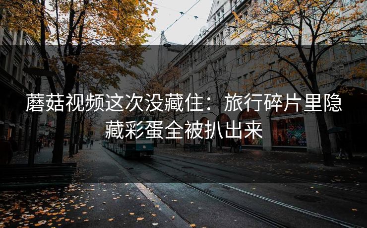 蘑菇视频这次没藏住：旅行碎片里隐藏彩蛋全被扒出来